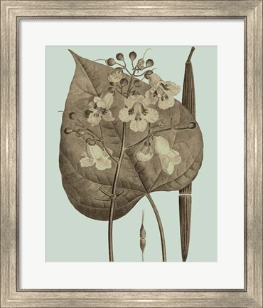 Framed Flowering Trees II Print