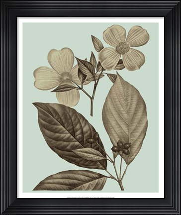 Framed Flowering Trees III Print