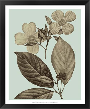 Framed Flowering Trees III Print