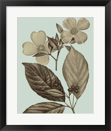 Framed Flowering Trees III Print