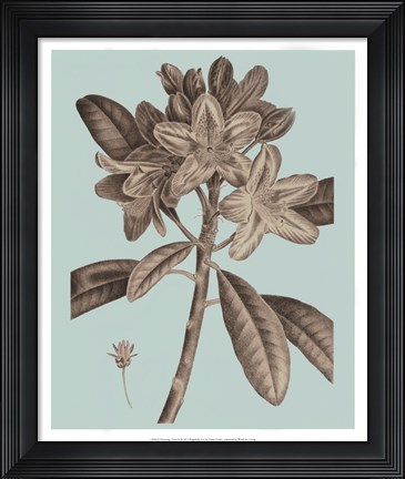 Framed Flowering Trees IV Print