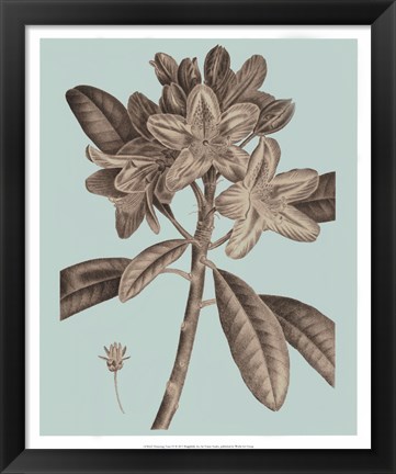 Framed Flowering Trees IV Print