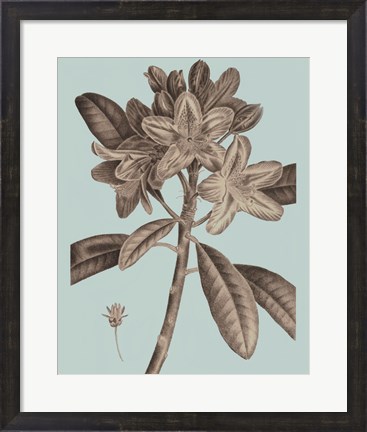 Framed Flowering Trees IV Print