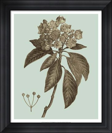 Framed Flowering Trees V Print