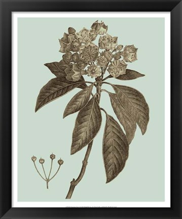 Framed Flowering Trees V Print