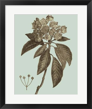 Framed Flowering Trees V Print