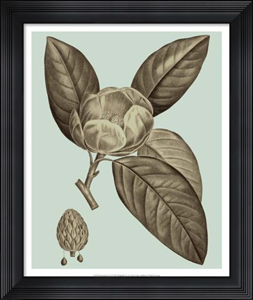 Framed Flowering Trees VI Print
