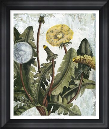 Framed Dandelion Patina I Print