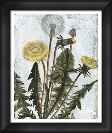 Framed Dandelion Patina II Print