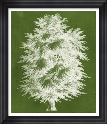 Framed Modern Arbor I Print