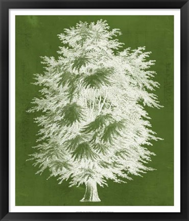 Framed Modern Arbor I Print
