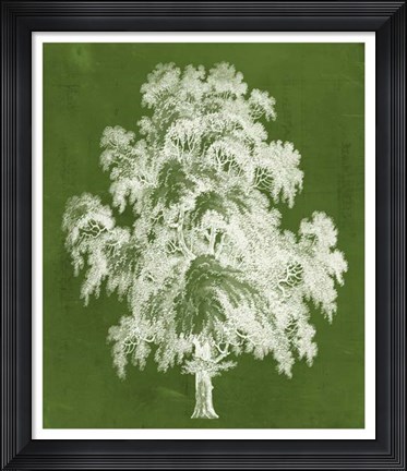Framed Modern Arbor II Print