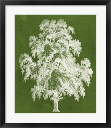 Framed Modern Arbor II Print