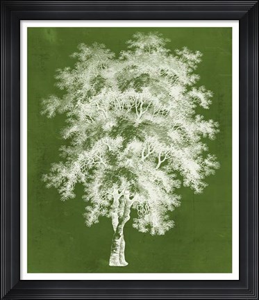 Framed Modern Arbor III Print