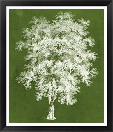 Framed Modern Arbor III Print