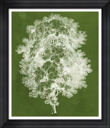 Framed Modern Arbor IV Print