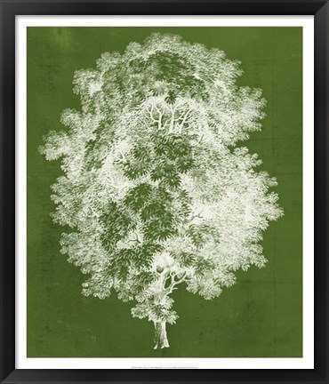 Framed Modern Arbor IV Print
