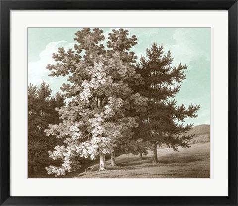Framed Serene Trees I Print