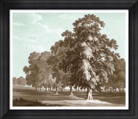 Framed Serene Trees II Print