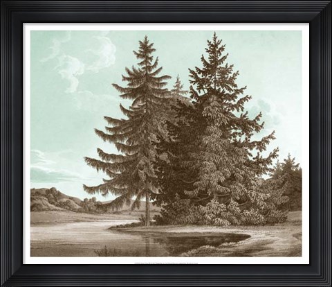 Framed Serene Trees III Print