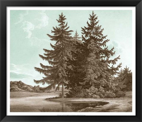 Framed Serene Trees III Print