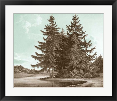 Framed Serene Trees III Print