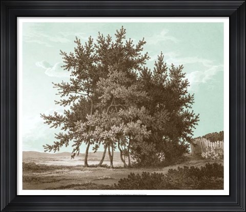 Framed Serene Trees IV Print