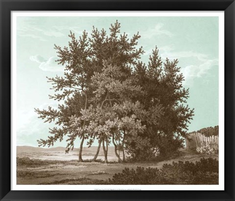 Framed Serene Trees IV Print