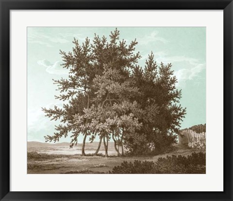 Framed Serene Trees IV Print