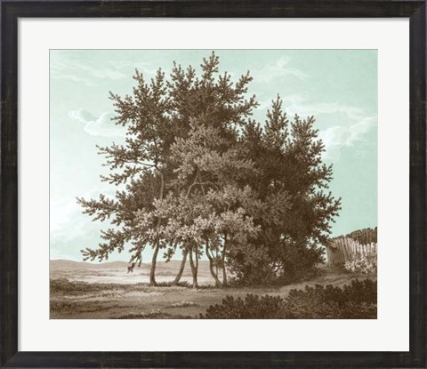 Framed Serene Trees IV Print