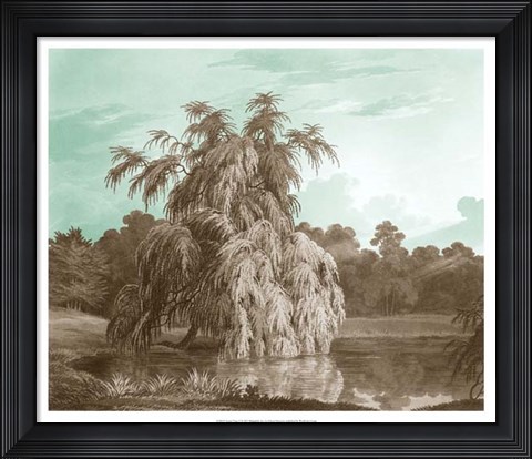 Framed Serene Trees V Print