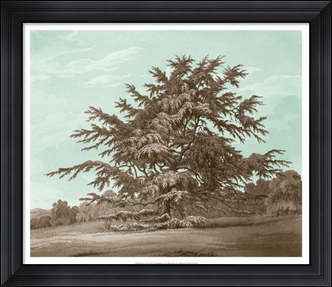 Framed Serene Trees VI Print