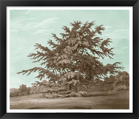 Framed Serene Trees VI Print