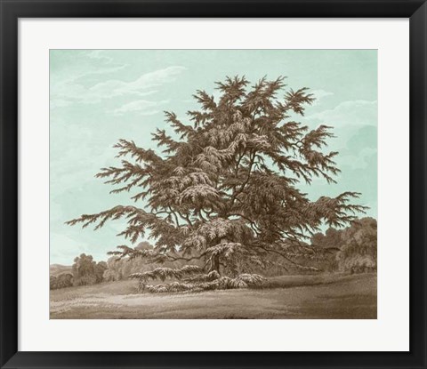 Framed Serene Trees VI Print