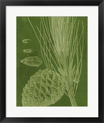Framed Modern Pine I Print