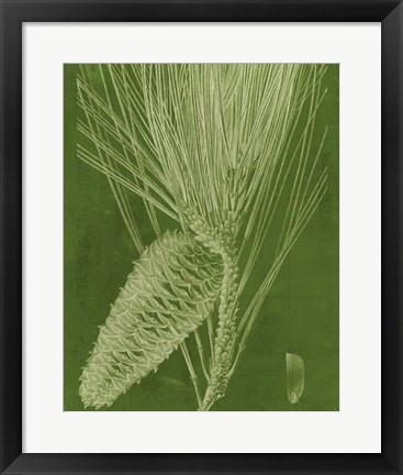 Framed Modern Pine II Print