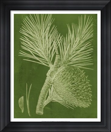 Framed Modern Pine III Print