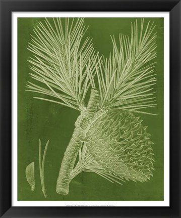 Framed Modern Pine III Print