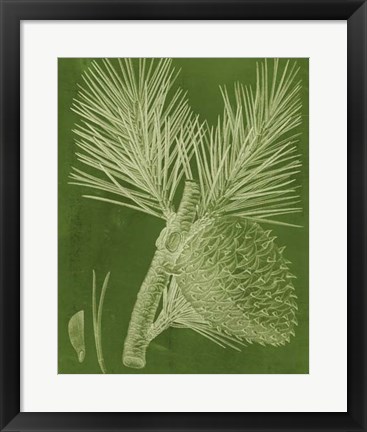 Framed Modern Pine III Print