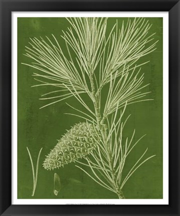 Framed Modern Pine V Print