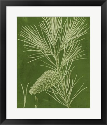 Framed Modern Pine V Print