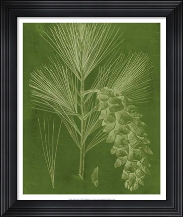 Framed Modern Pine VI Print