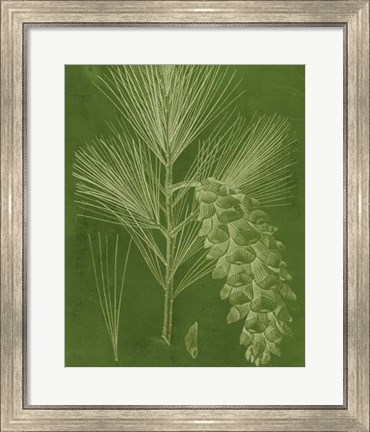 Framed Modern Pine VI Print