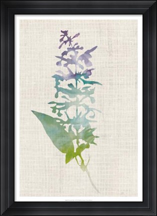 Framed Watercolor Plants I Print