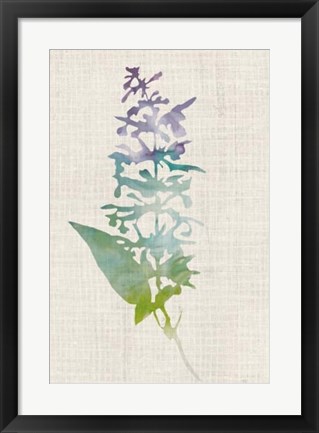 Framed Watercolor Plants I Print