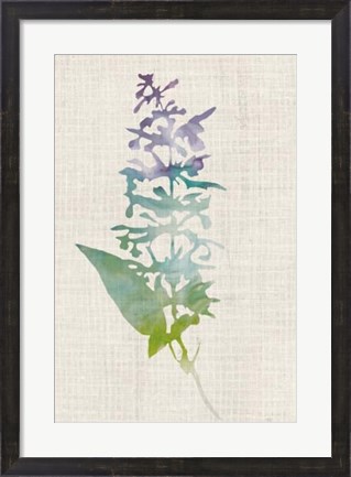 Framed Watercolor Plants I Print