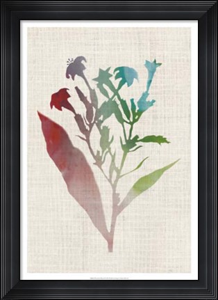 Framed Watercolor Plants II Print