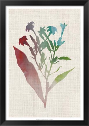 Framed Watercolor Plants II Print