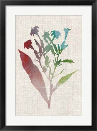 Framed Watercolor Plants II Print