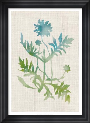 Framed Watercolor Plants III Print